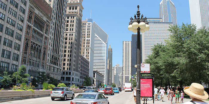 view from architecture walking tour chicago